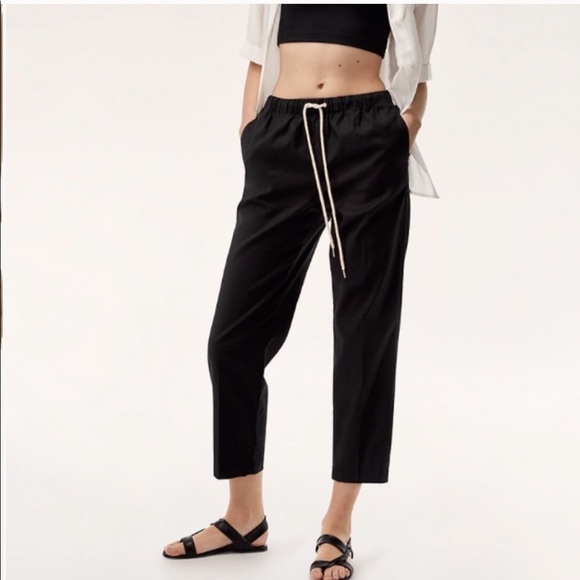 Aritzia Jimmy pant - Picture 1 of 8